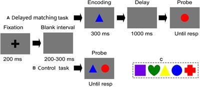 Frontal Theta Activity Supports Detecting Mismatched Information in Visual Working Memory